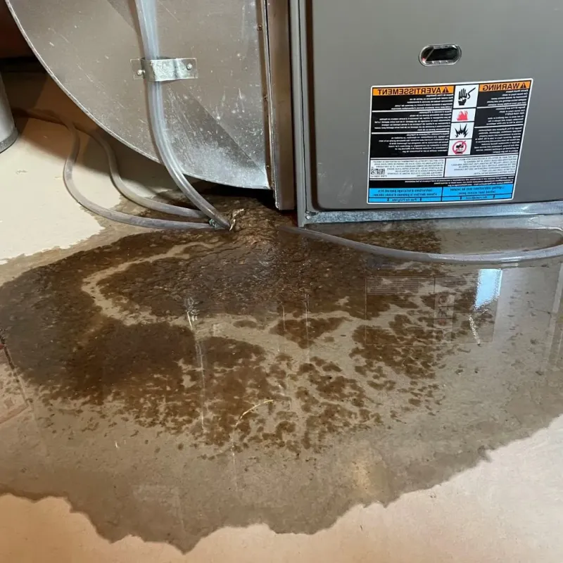 Pipe Burst and Leak Restoration in Duncansville, PA