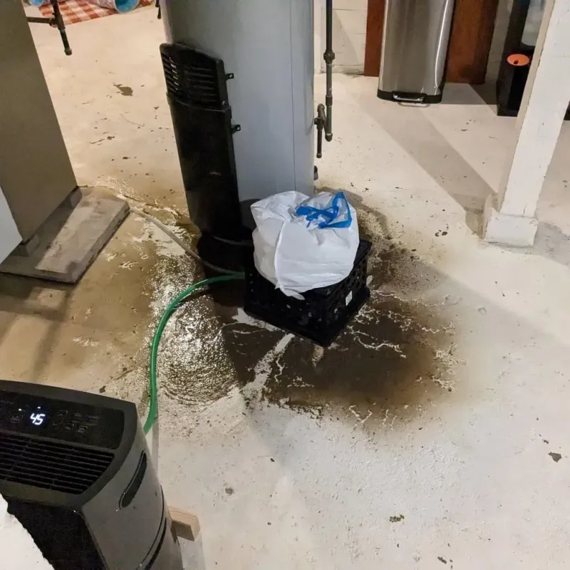 Sewage Backup Cleanup Service in Duncansville, PA
